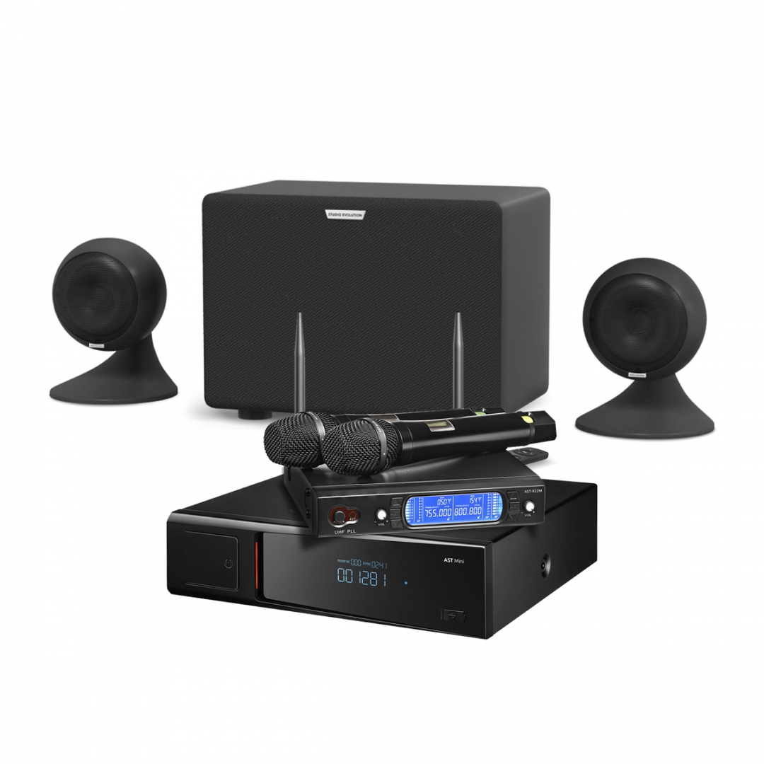 караоке-комплект AST Mini Sound Sphere в Усть-Лабинске