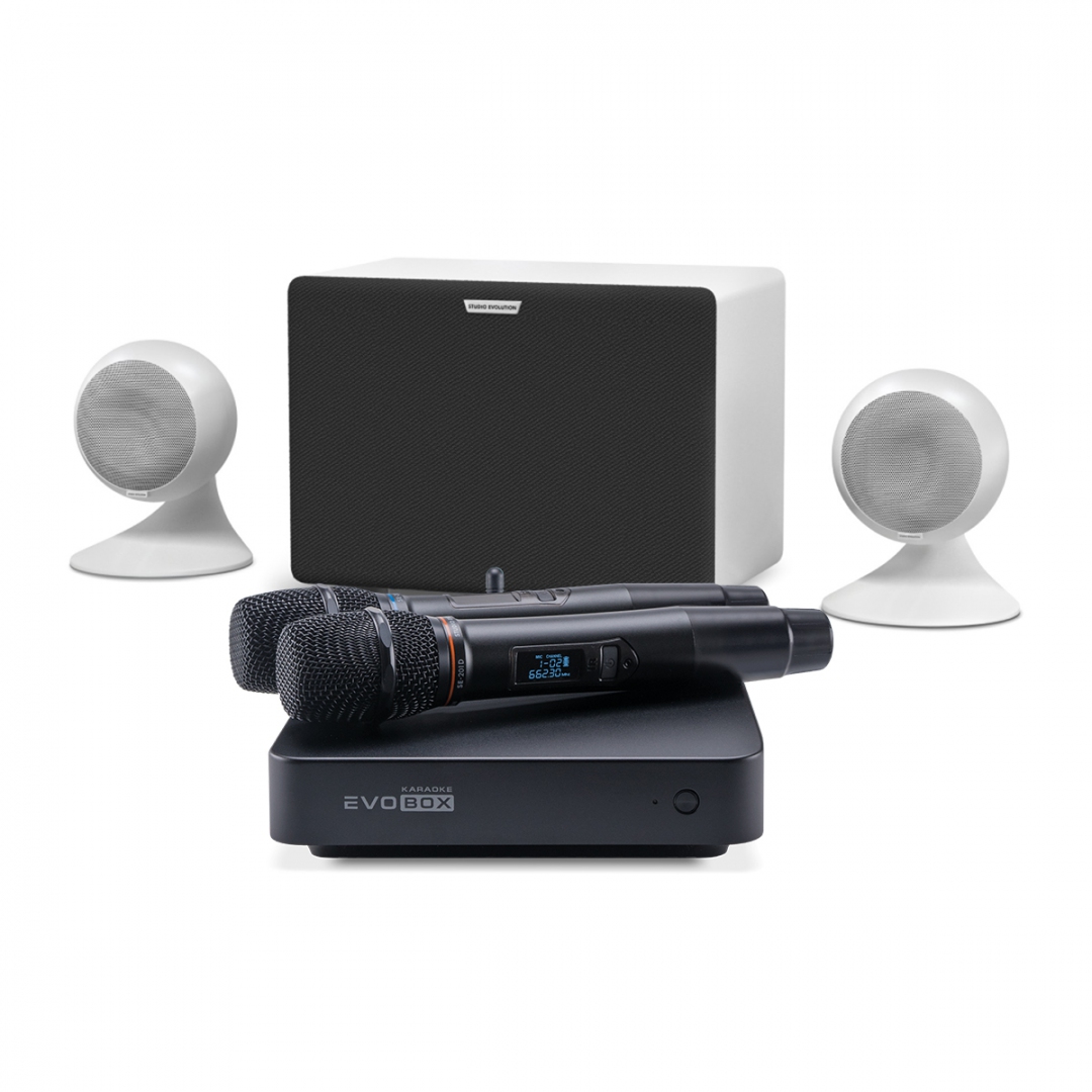 караоке-комплект EVOBOX Classic + EvoSound Sphere 2.1 в Усть-Лабинске